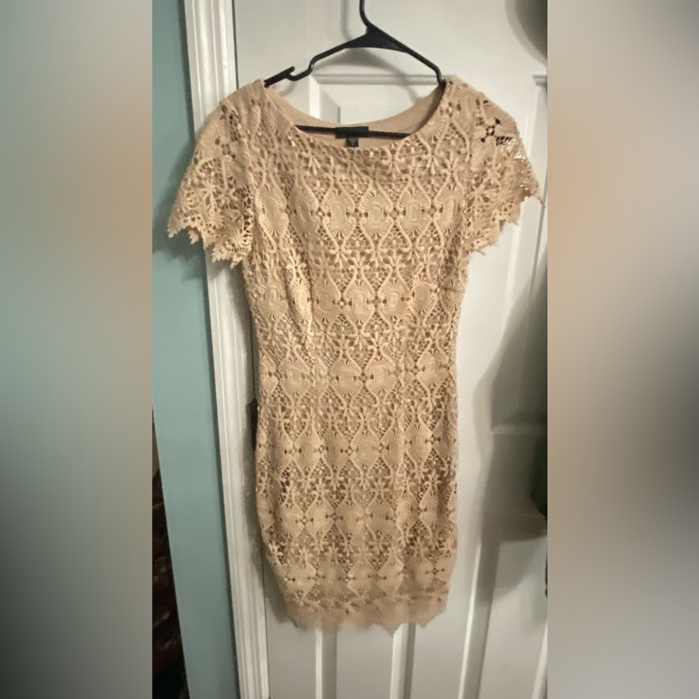 Bebe Lace Mini Dress in Cream
